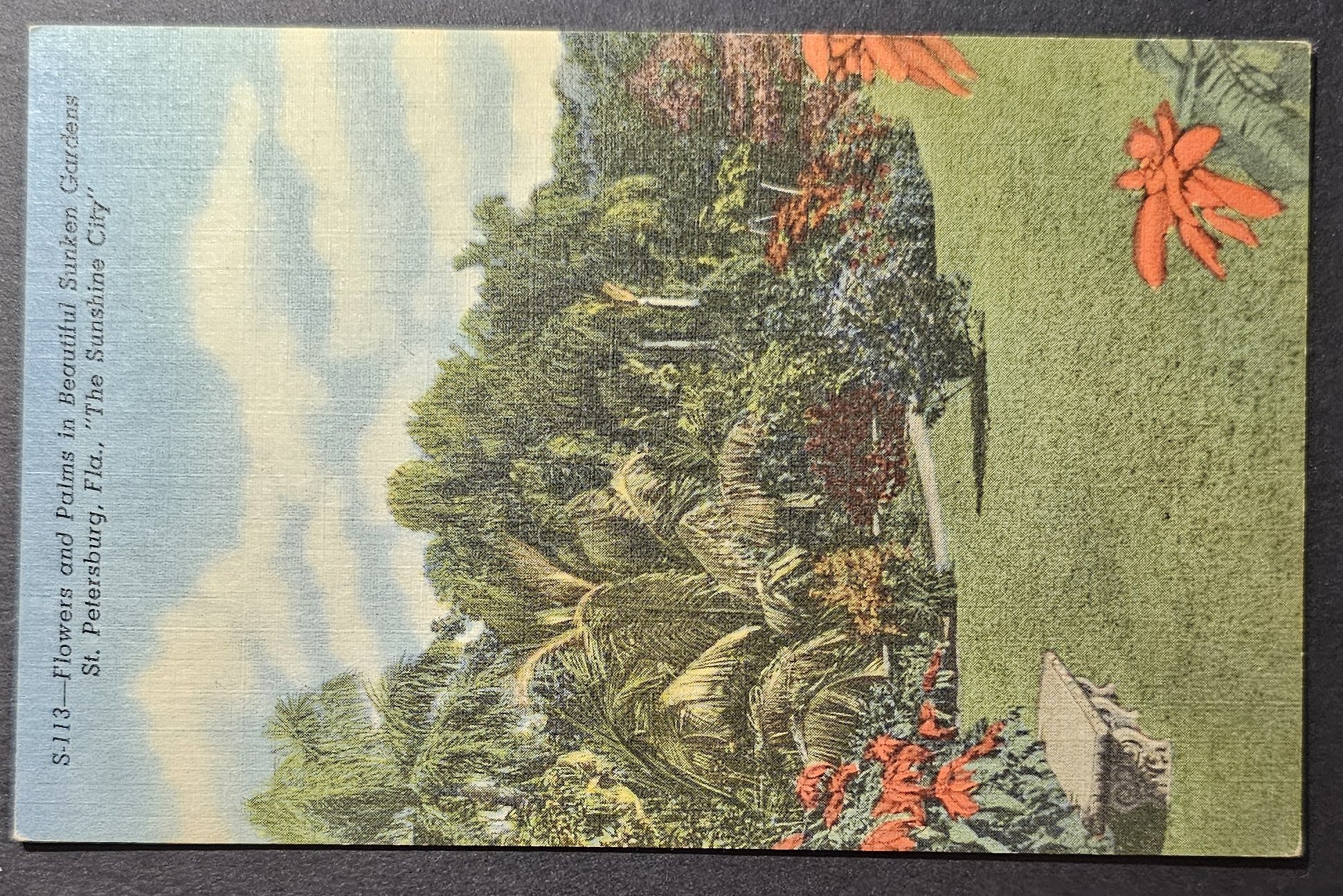 (image for) postcard USA - FL - Florida #0037